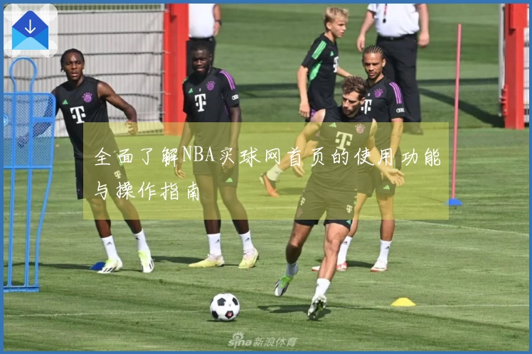全面了解NBA买球网首页的使用功能与操作指南