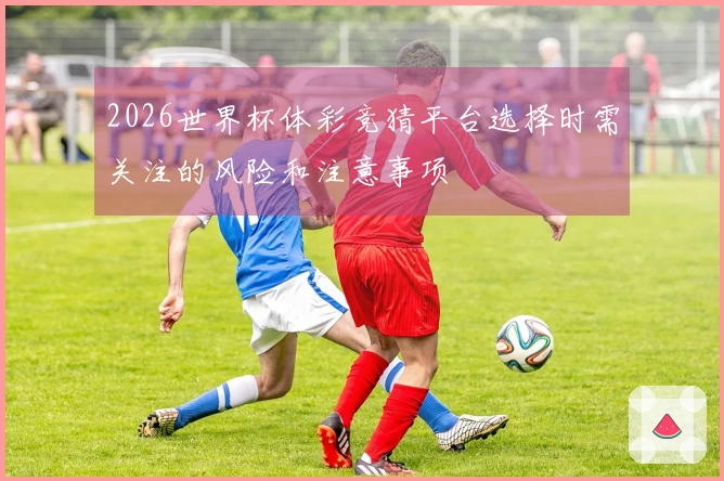 2026世界杯体彩竞猜平台选择时需关注的风险和注意事项
