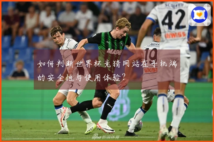 如何判断世界杯竞猜网站在手机端的安全性与使用体验？