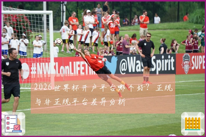 2026世界杯开户平台哪个好？正规与非正规平台差异分析