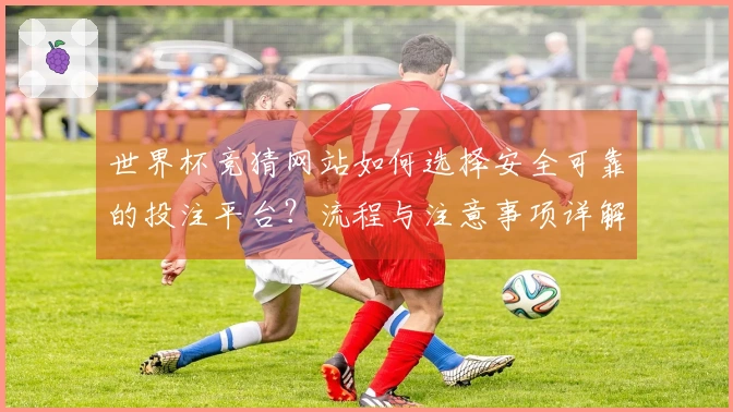 世界杯竞猜网站如何选择安全可靠的投注平台？流程与注意事项详解