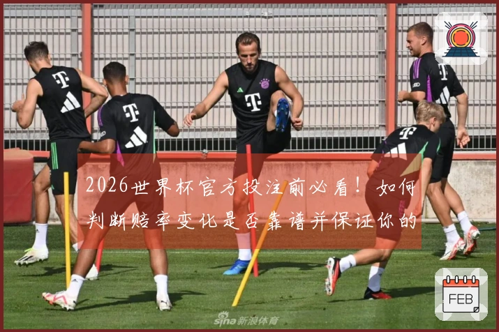 2026世界杯官方投注前必看！如何判断赔率变化是否靠谱并保证你的投注安全