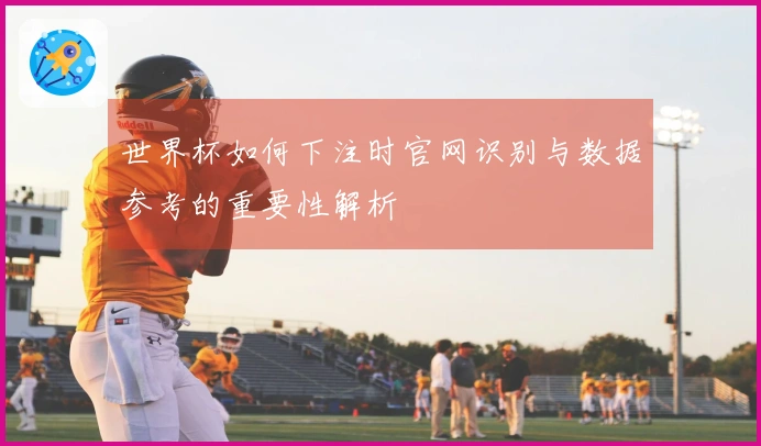 世界杯如何下注时官网识别与数据参考的重要性解析