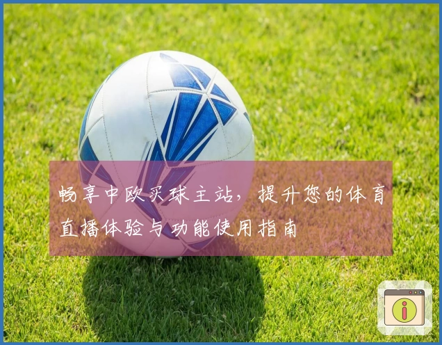 畅享中欧买球主站，提升您的体育直播体验与功能使用指南