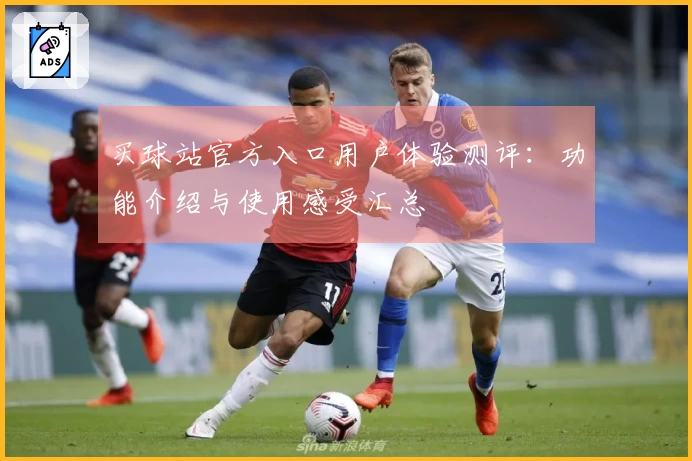 买球站官方入口用户体验测评：功能介绍与使用感受汇总