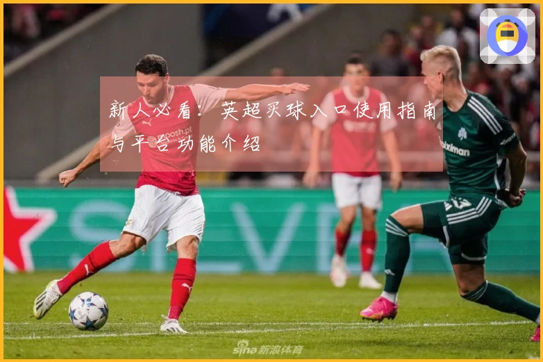新人必看：英超买球入口使用指南与平台功能介绍