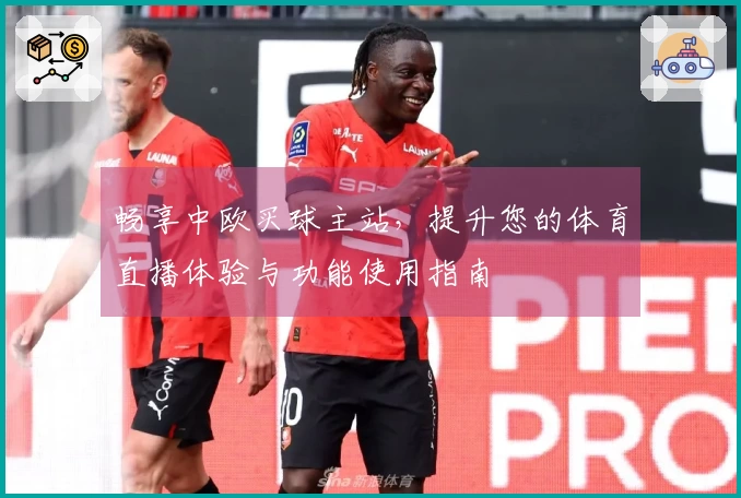 畅享中欧买球主站，提升您的体育直播体验与功能使用指南
